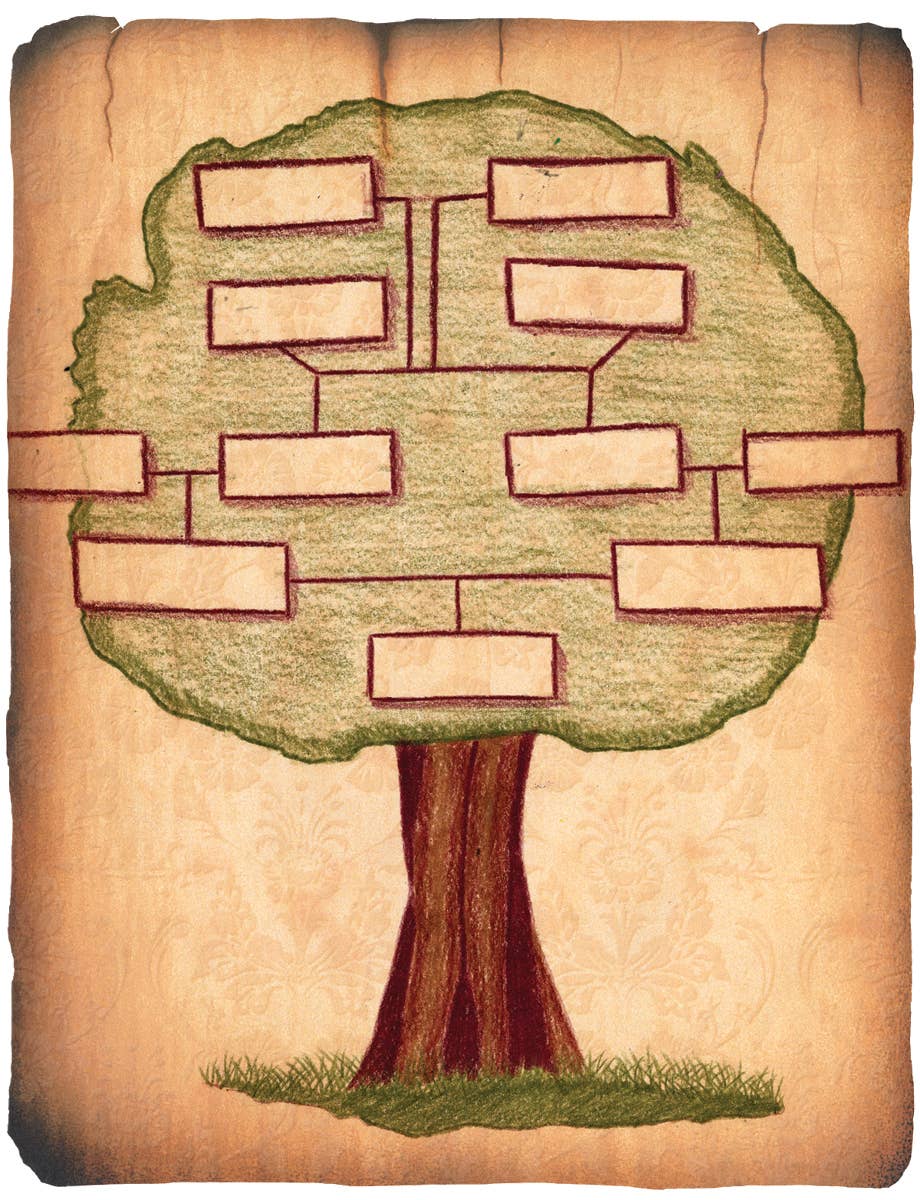 Roylco - Vente Matériels de bricolage - Papier ancien – Fourniture d'apprentissage pratique1