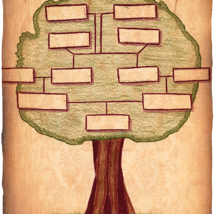 Roylco - Vente Matériels de bricolage - Papier ancien – Fourniture d'apprentissage pratique1