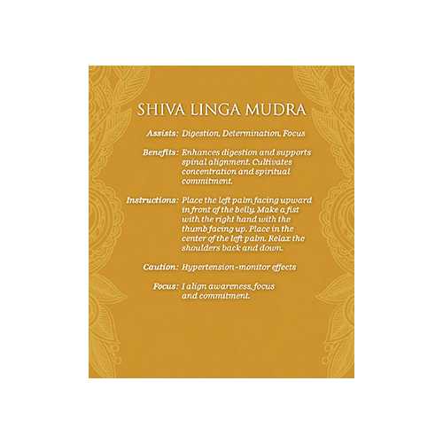 Cardshouse - Wholesale Tarot Cards - Mudras For Awakening The Energy Body Deck And Book Set Us Ga3