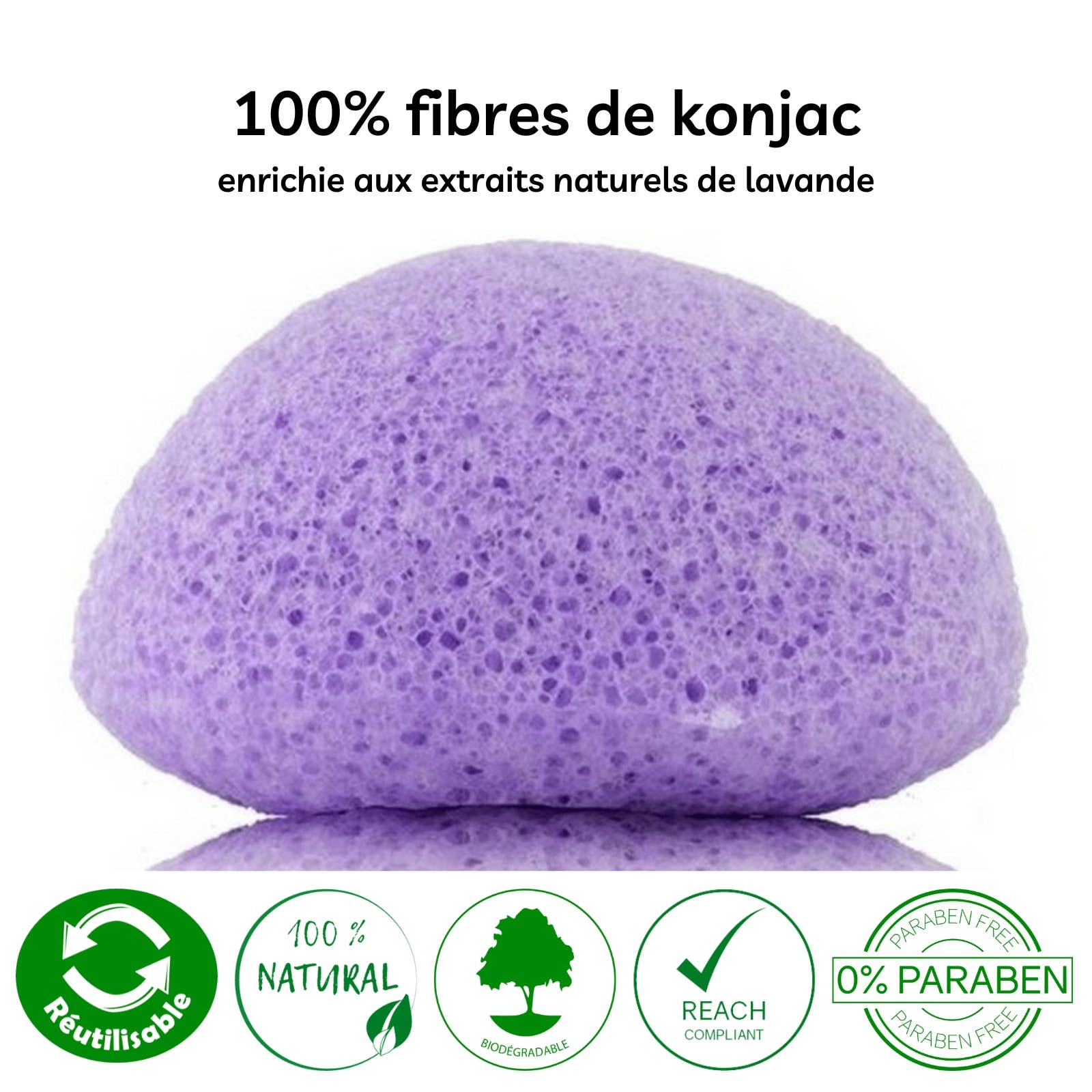 Zen'Arôme - Wholesale Facial Cleanser - Konjac Sponge for the Face - 100% Natural - In Box1
