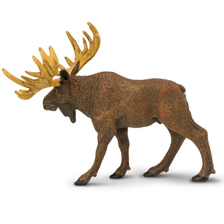 Safari Ltd. - Wholesale Decorative Figurine - Moose - 2900292
