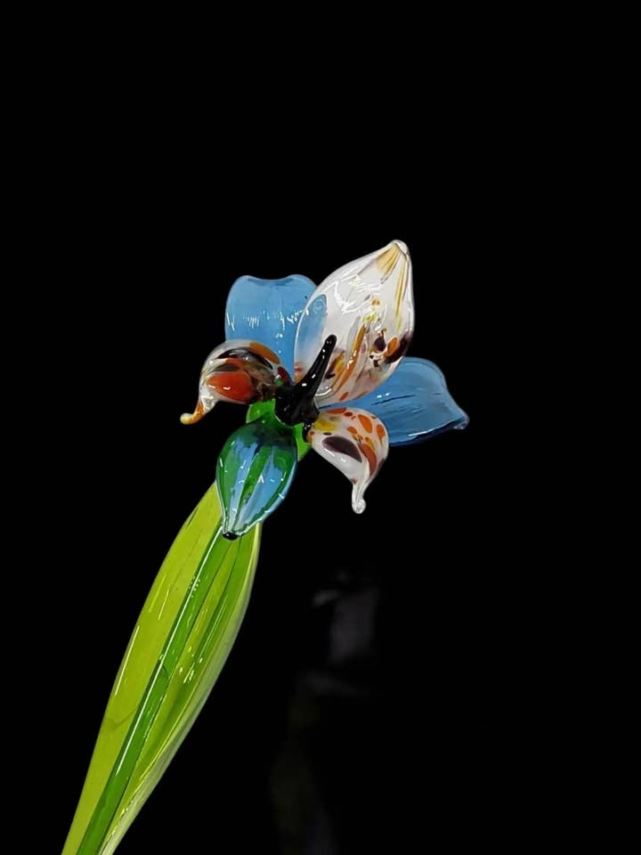 Blue Glass Orchid - Hand Made In Ukraine - Short Stem Flower for wholesale by Glass by Iness
