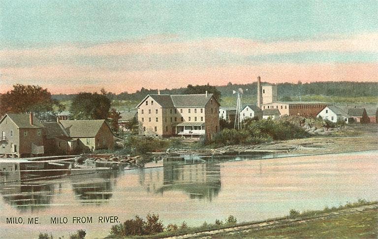 Found Image Press - Wholesale Magnet - Magnet ME-141 Milo from River0