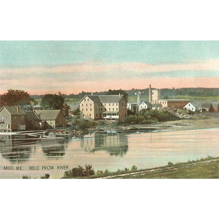 Found Image Press - Wholesale Sticker - Sticker ME-141 Milo from River