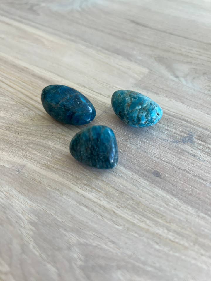 Tumble de apatita azul por atacado de Luna Rae