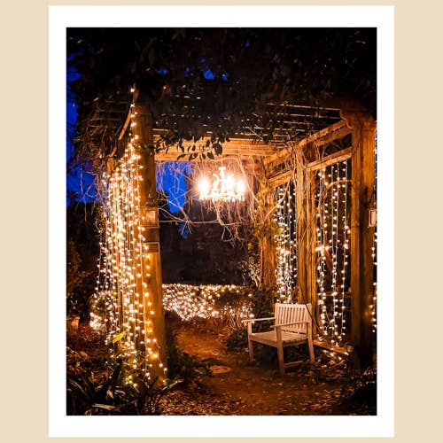 Impression d'art de Charlotte, NC (8x10) : lustre, jardin caché pour la vente par Charlotte to Paris