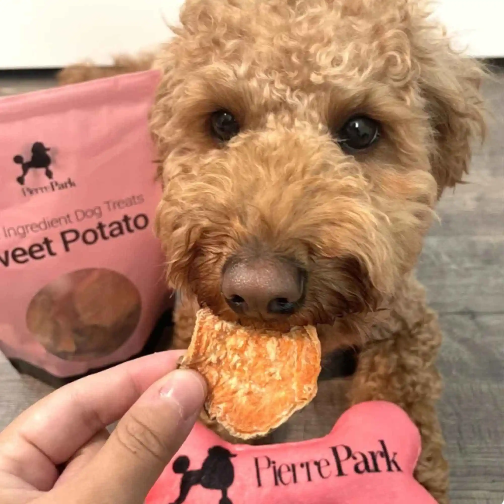 PierrePark - Wholesale Pet Treats - Dog - Healthy Dog Treats | Sweet Potato Dog Treats6