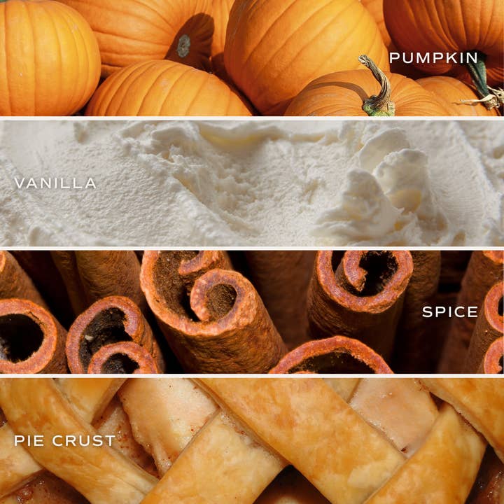 Sweet Water Decor - Wholesale Jar/Filled Candle - Hello Pumpkin 11 oz Soy Candle - Fall Decor & Gifts3