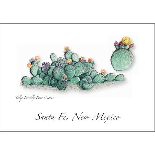 Tulip Prickly Pear Cactus for wholesale by Earth Sky + Water