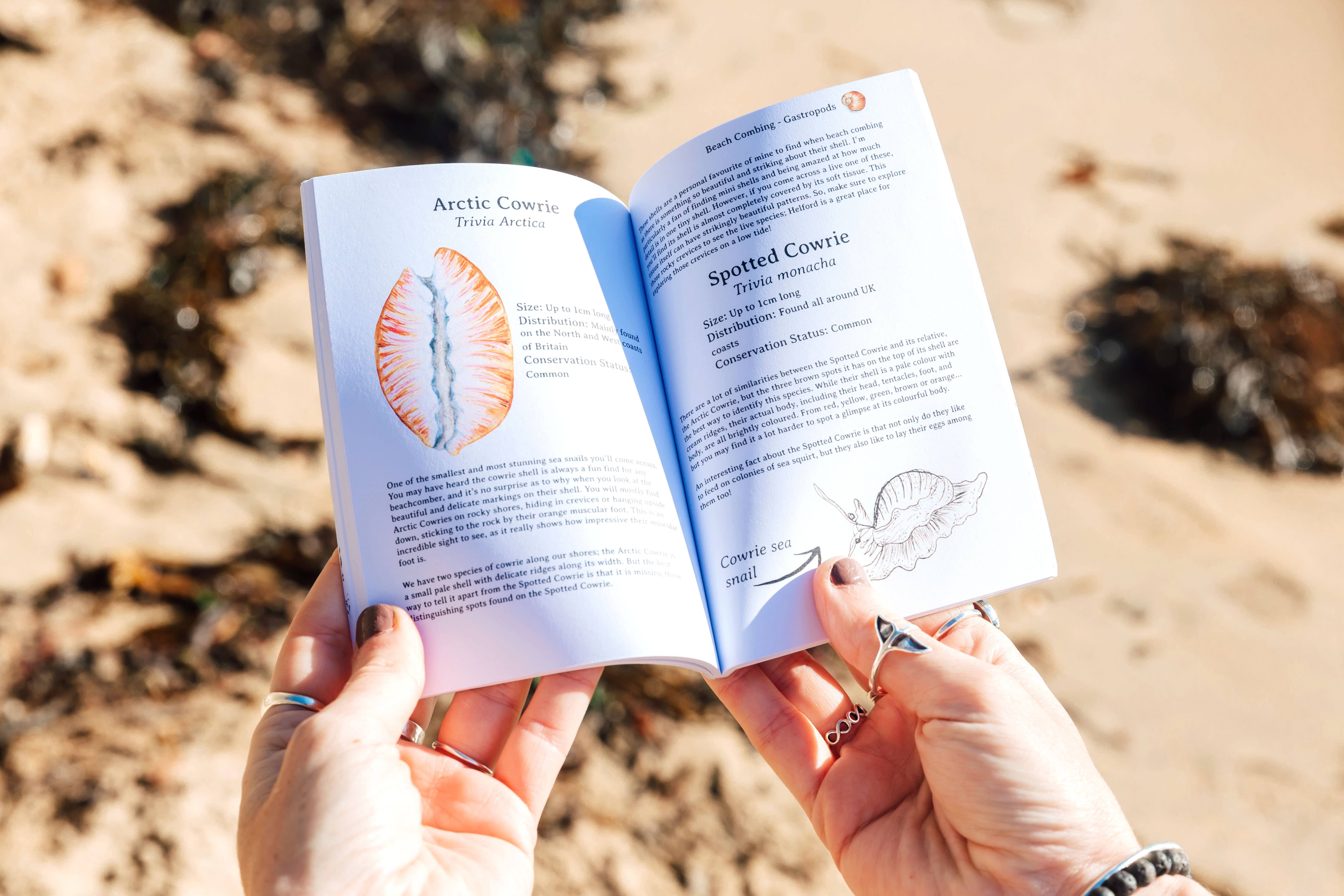 Rachael Farrar Artist – wholesale Nature and outdoors – Beach Combing Pocket Guide2