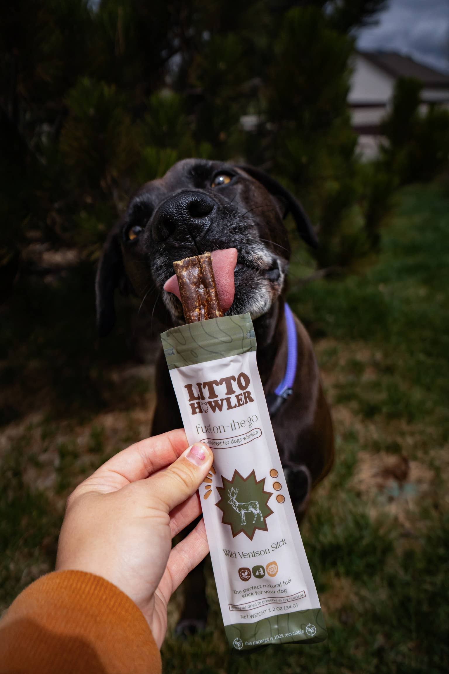 Litto Howler – wholesale Godis - Hund – Vildhjortköttpinne3