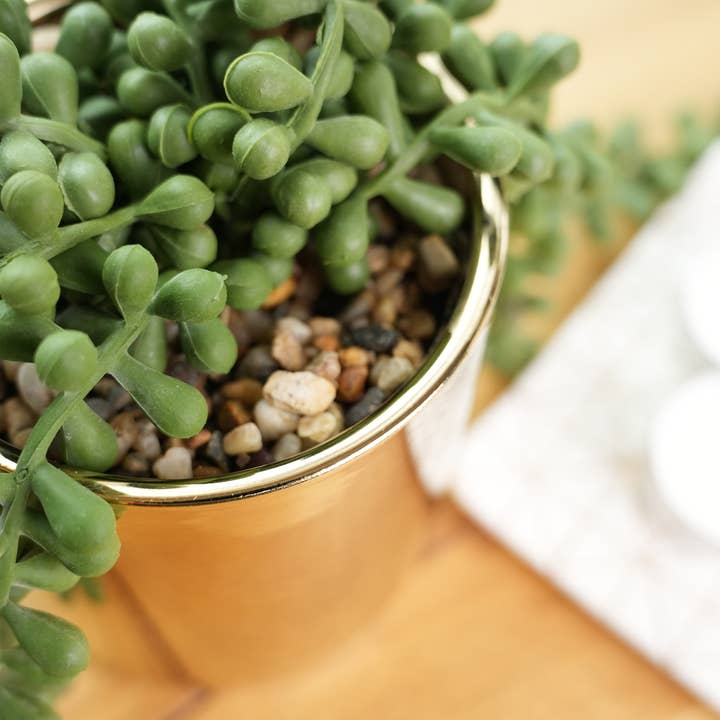 Flora Bunda Inc – Engroshandel Sukkulenter – Hængende kunstig sukkulent i skinnende guldfarvet potte3