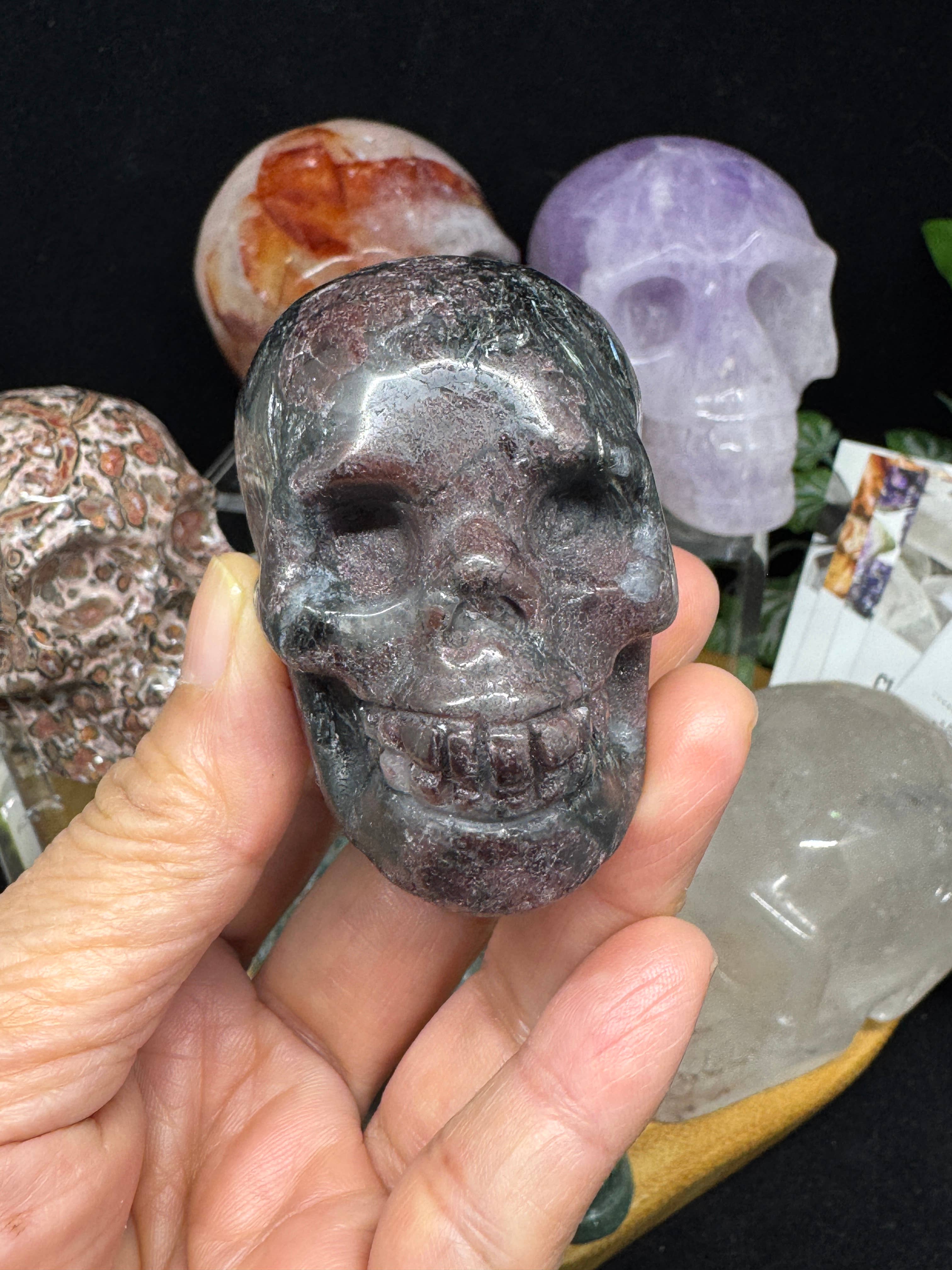 The 7 Directions - Wholesale Spiritual Stone/Crystal - 6 pc Ocean Jasper Leopardite fire quartz skull bundle G8058