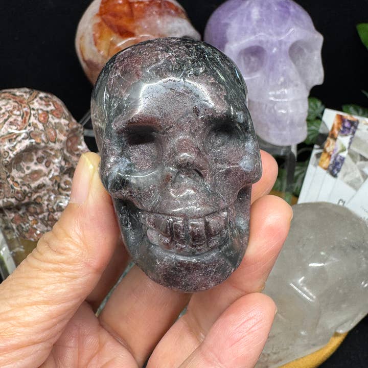 The 7 Directions - Wholesale Spiritual Stone/Crystal - 6 pc Ocean Jasper Leopardite fire quartz skull bundle G8058