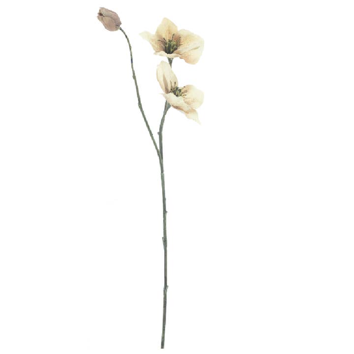 DRYdecorations - Wholesale Artificial Flowers - Helleborus spray Caseros brown 0