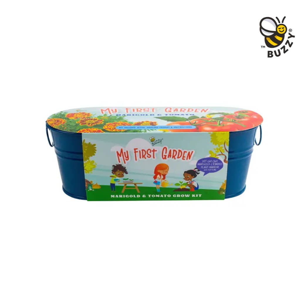 Buzzy Seeds Grow Gifts - Wholesale Plant Seeds - My First Garden Windowsill Grow Kit – Marigold & Tomato