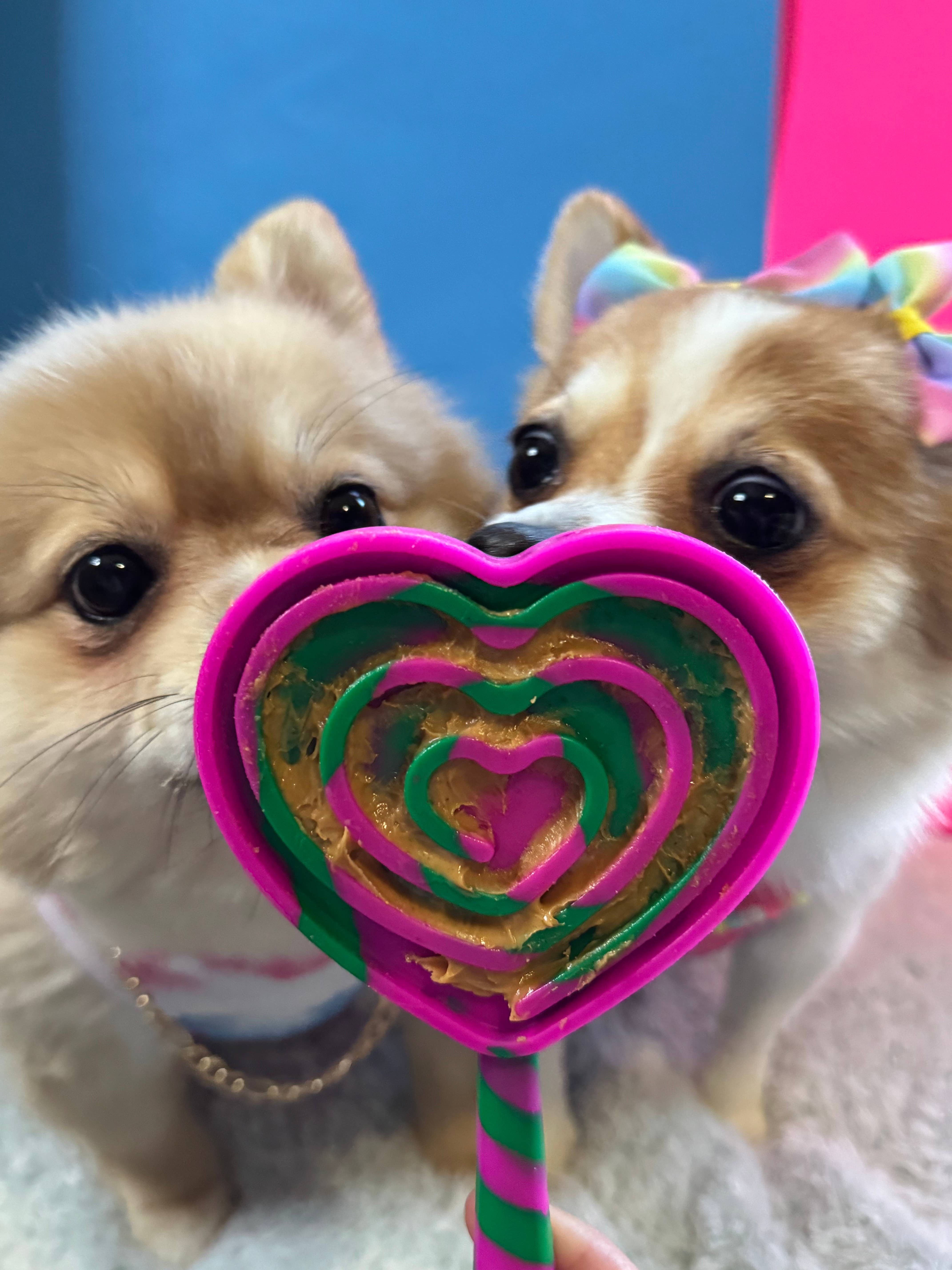 Spunky Pup - Vente Tapis de gamelle – chien - Lick Pops - Spatules à lécher pour chiens et chats3