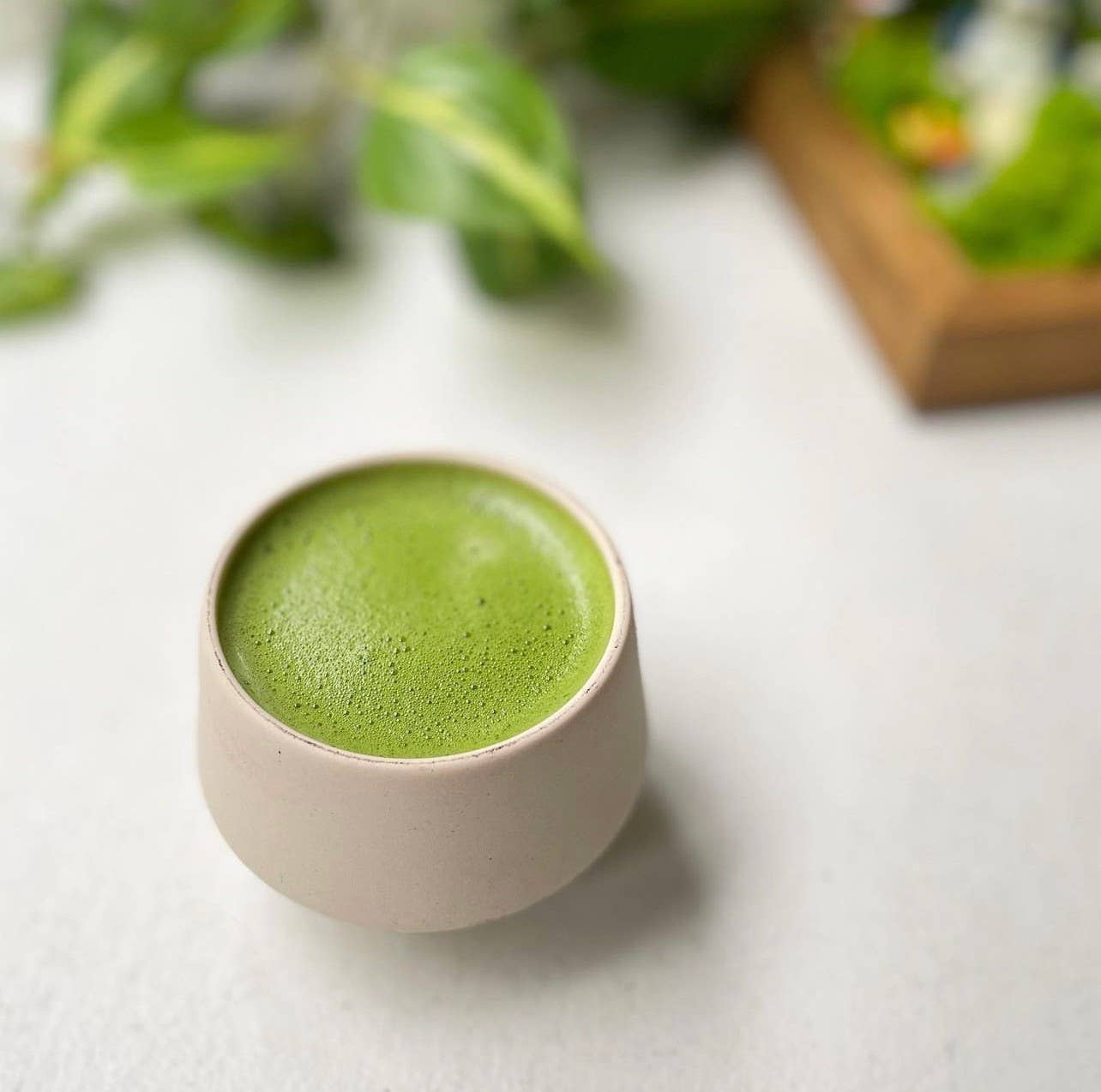 Matcha Yu Tea – Großhandel Gesundheits-/Entgiftungstee – Everyday Matcha Grünteepulver1