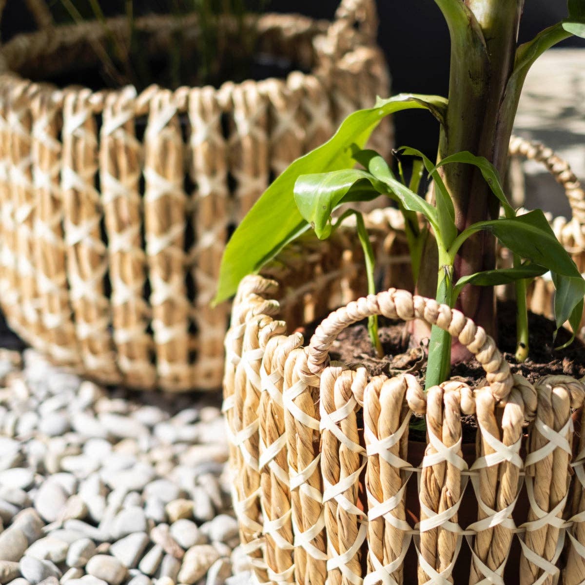 Andrea House - Wholesale Plant Pot - Set of 2 natural fiber baskets3