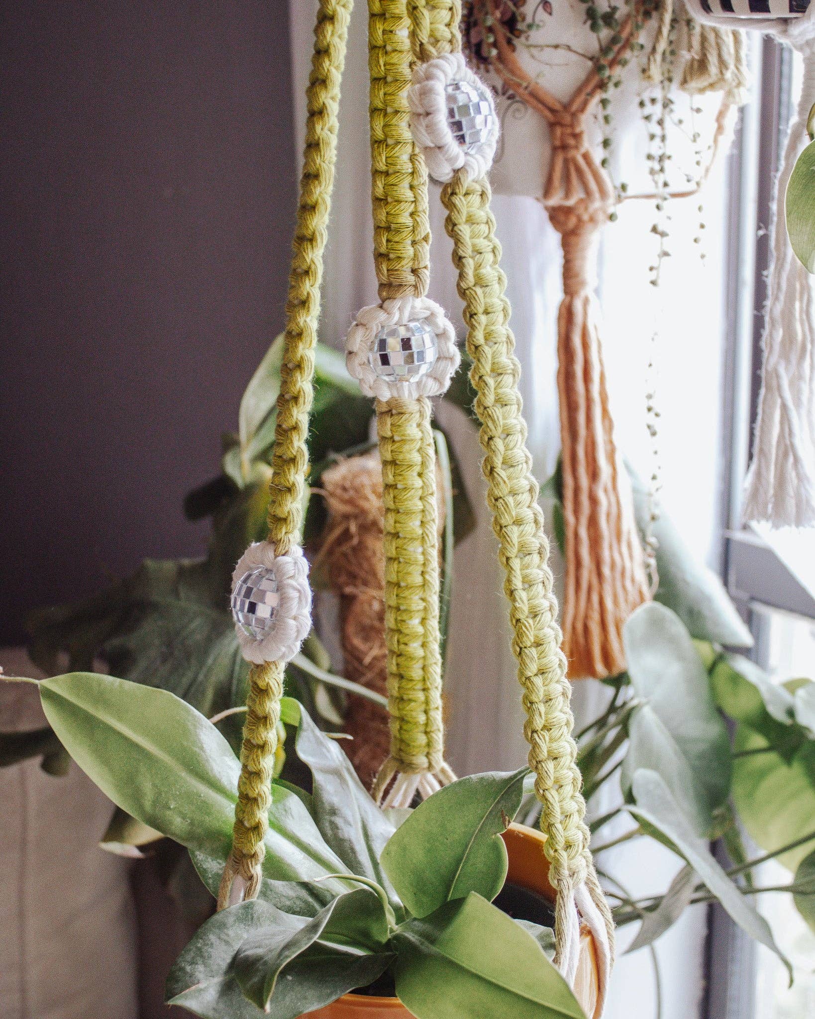 Modern Bo Studio - Wholesale Hanging Planter - Disco Daisy Plant Hanger6