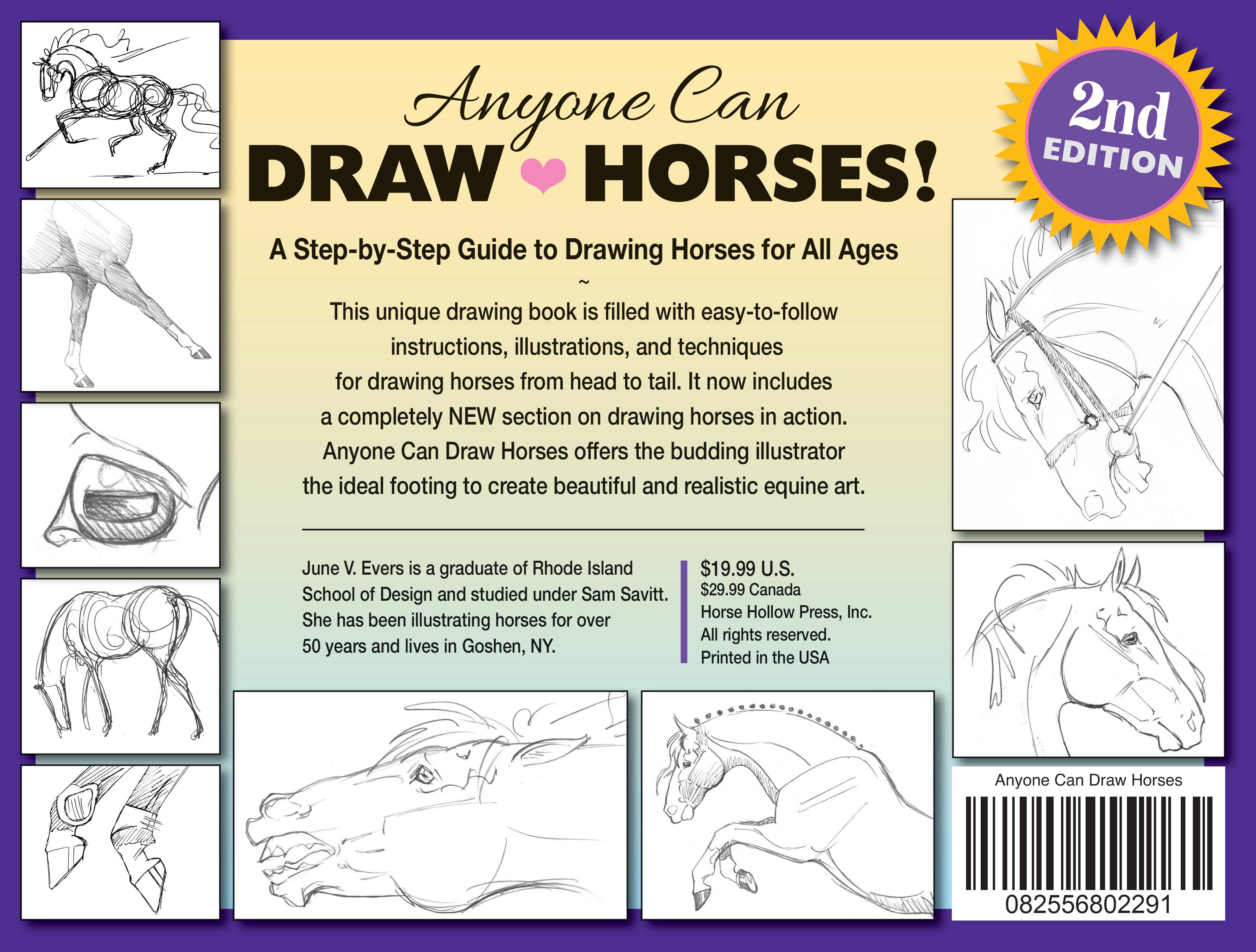 Horse Hollow Press / Pretty, Funny, Snarky Cards & Stickers - Wholesale Coloring & Activity Book - Adult - Art Book Horse Equestrian / Anyone Can Draw Horses / All Age16