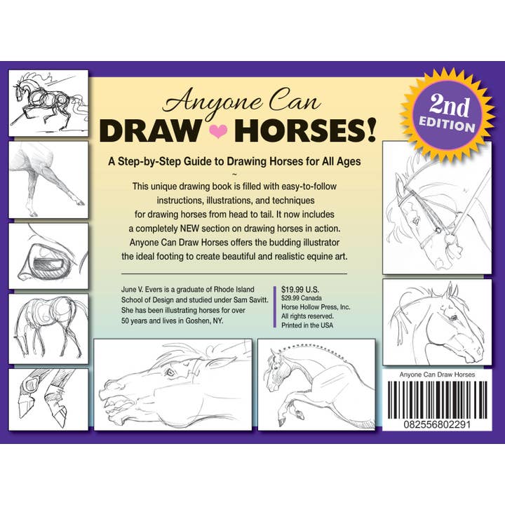 Horse Hollow Press - Wholesale Coloring & Activity Book - Adult - Art Book Horse Equestrian / Anyone Can Draw Horses / All Age17