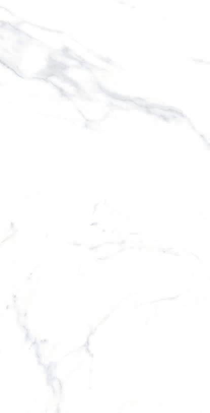 Thomas Avenue Ceramics - Wholesale Wall Tile - 12"x24" Porcelain Calacatta Cool Floor and Wall Tile11