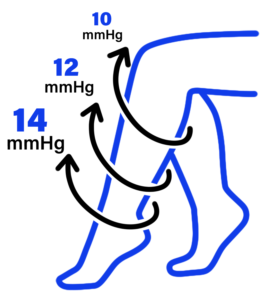 Think Medical Wholesale - Vente Chaussettes – femme - Chaussettes de compression noires XL solides1