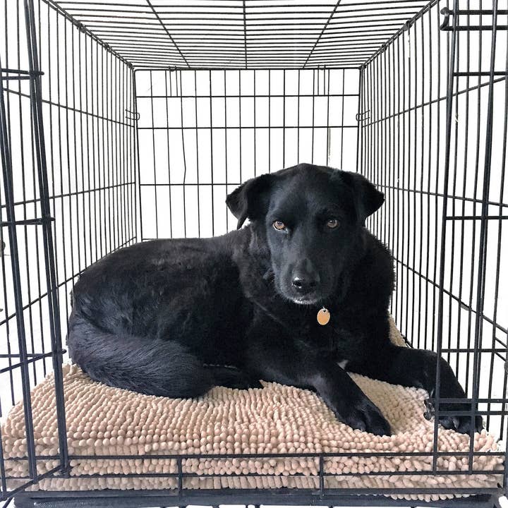 Soggy Doggy Doormat - Venta al por mayor Cama - Perros - Soggy Doggy Crate Mate: Beige1