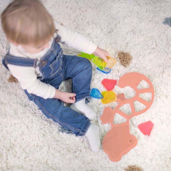 Miniland Educational - Wholesale Toy Set - Kids - Feel to Learn: Translucent colorful Lizard2