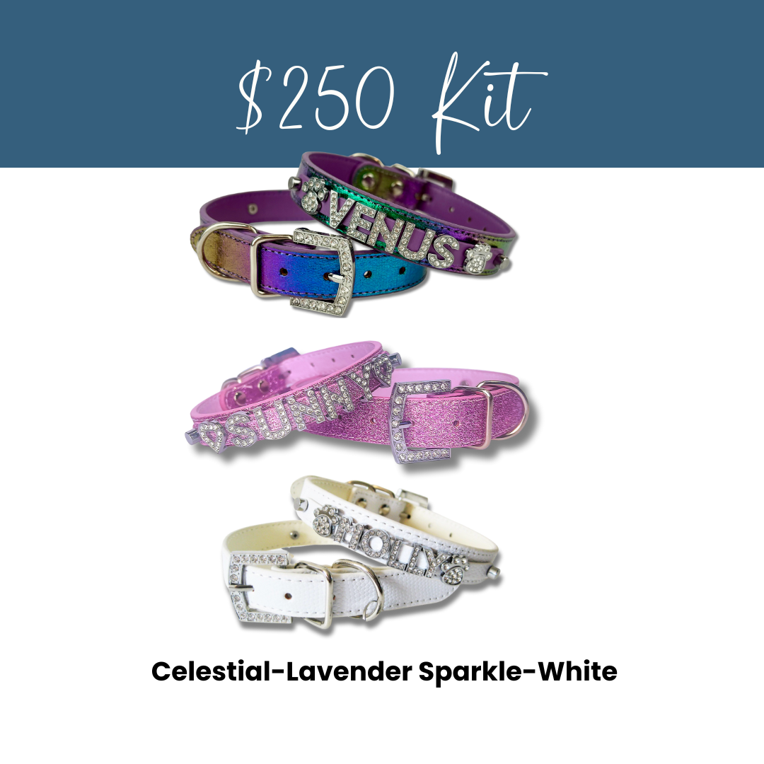 House of FurBaby - Wholesale Pet Collar - Cat/Dog - DIY Pet Collar Bar Kit: Silver Sparkle 280 Pieces $600 Value17