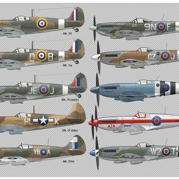 Carta da regalo Spitfire 100GSM foglio x 25 fogli per la vendita all'ingrosso da parte di Coach House Partners