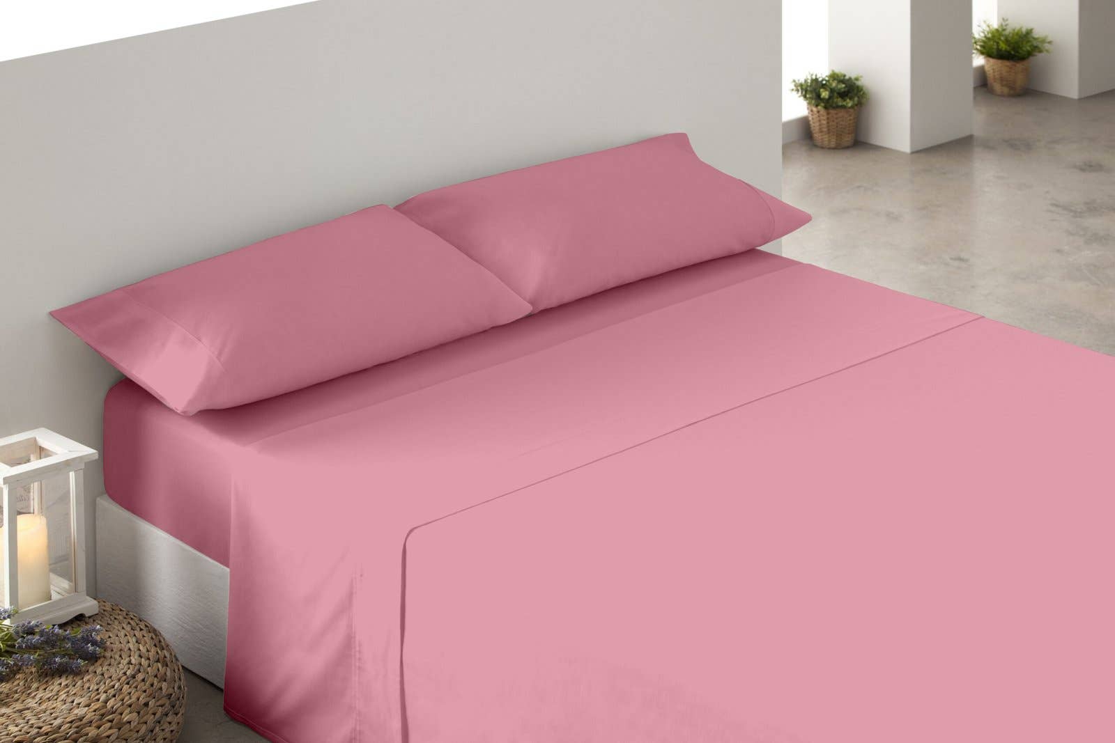 TEXCITY - Wholesale Sheet Set - Bedsheets, Plain Dyed, 100% Cotton, T1443