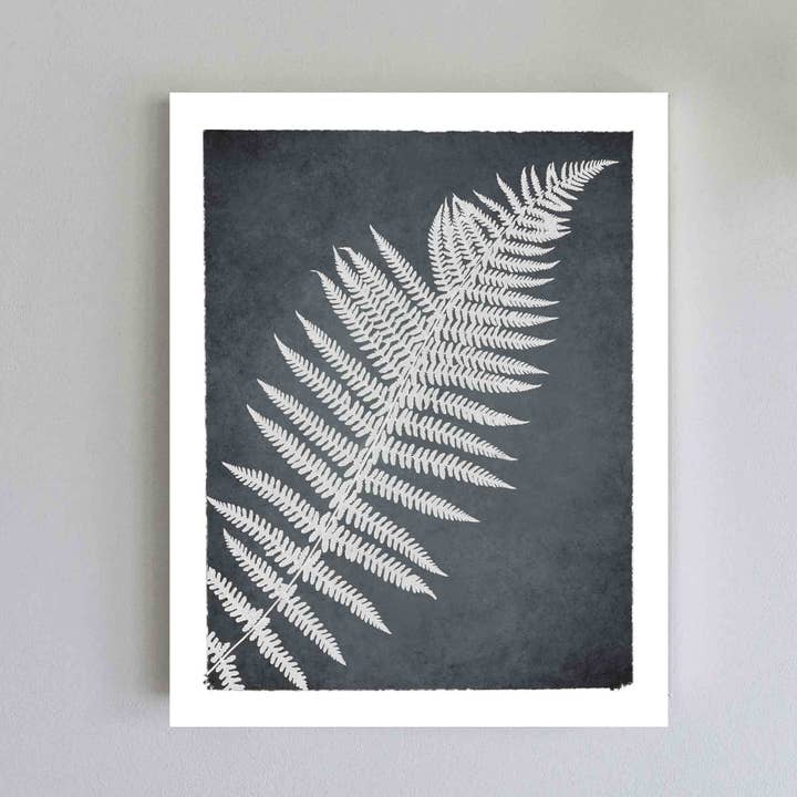 Fern Botanical Print on Gray for wholesale by Little Green Herbaria