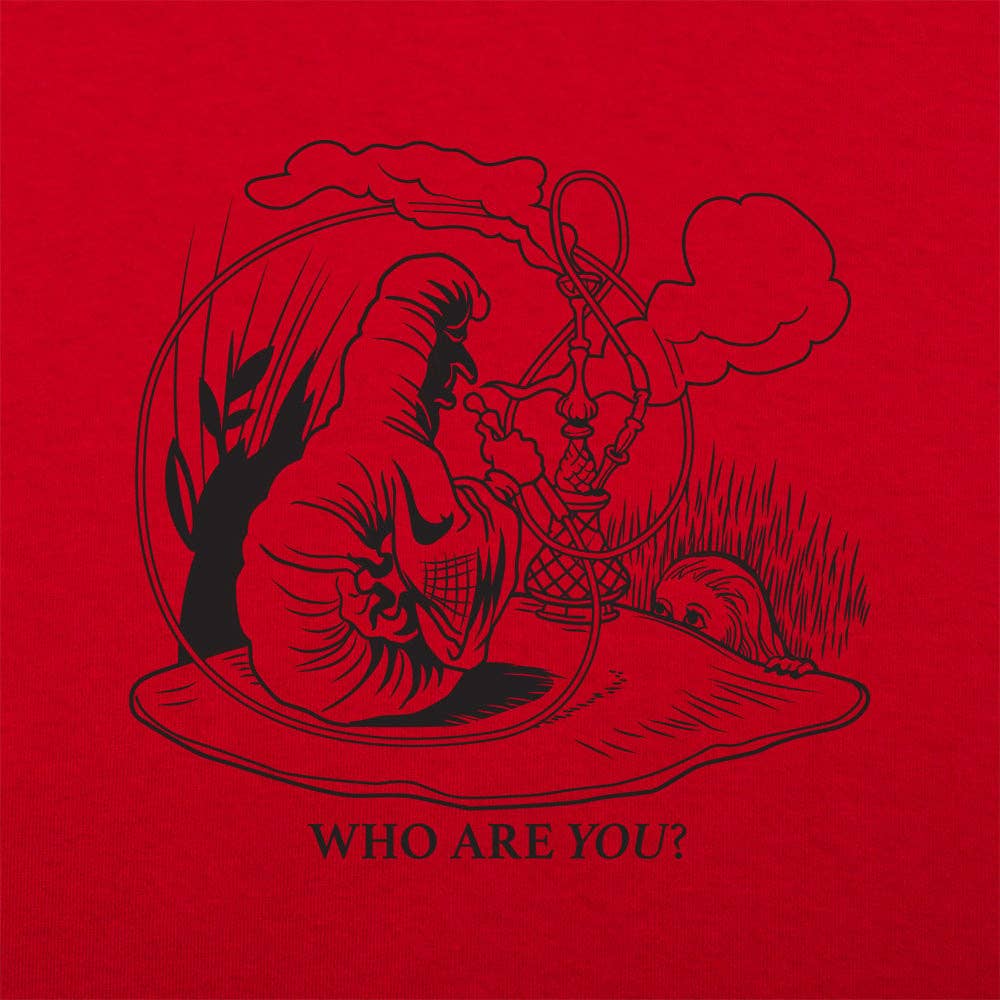 6DS - Wholesale Screen Printed T-Shirt - Women's - Caterpillar And Alice Women's T-Shirt1