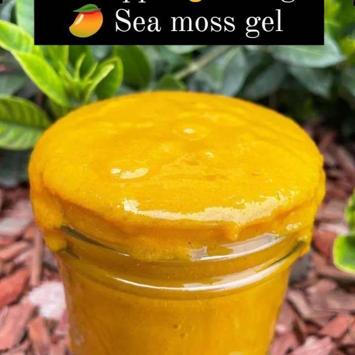 Joanne's Creative Corner llc - Wholesale Oral Supplement/Vitamin - Premium Sea Moss Gel3