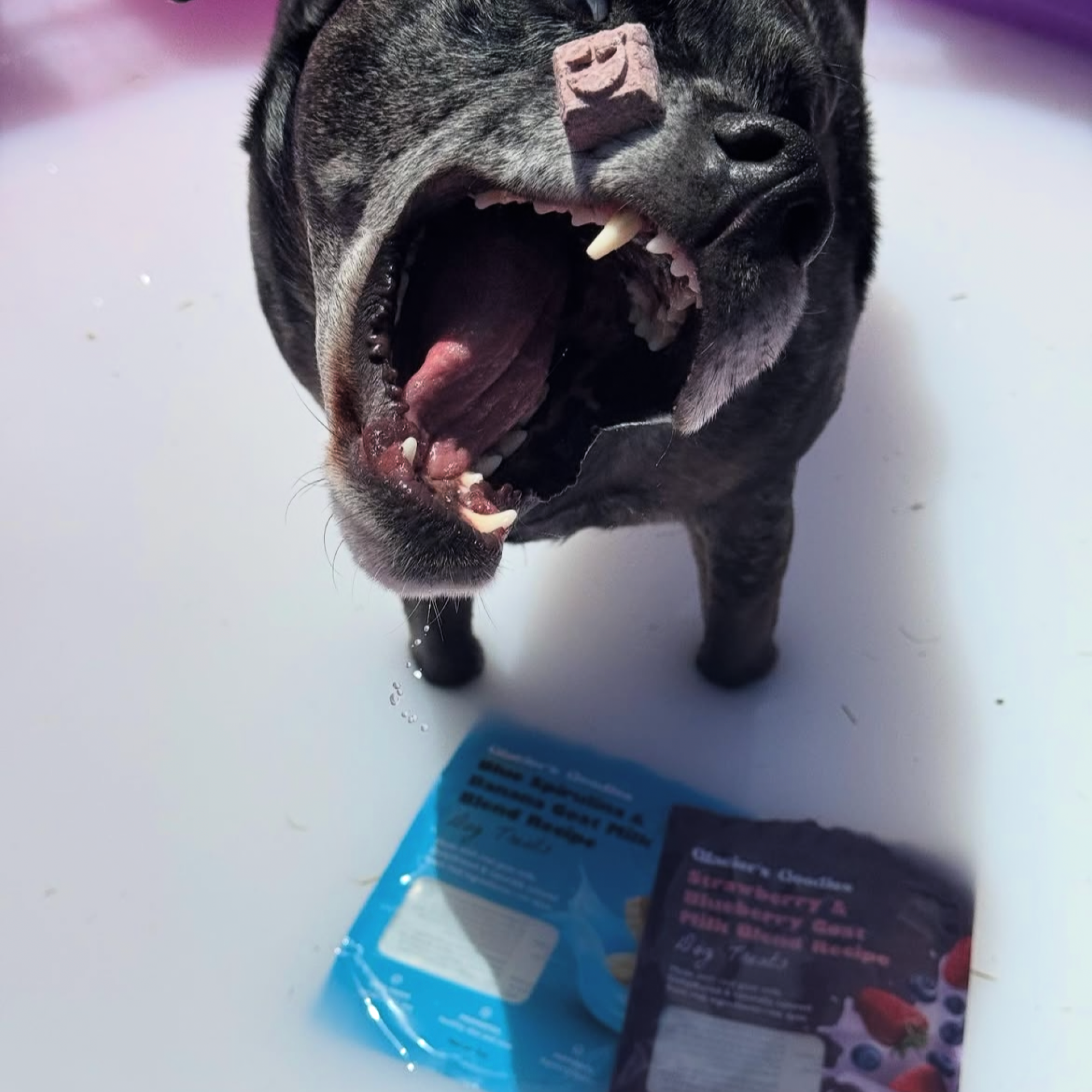 Glacier's Goodies - Wholesale Pet Treats - Dog - Goat Milk Dog Treats – Banana & Peanut (7oz) 6pack5