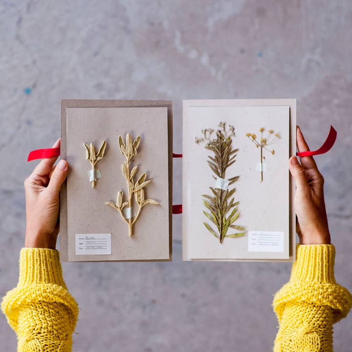 Fábrica de texturas - Wholesale DIY craft kit - The Flower Press Kit5