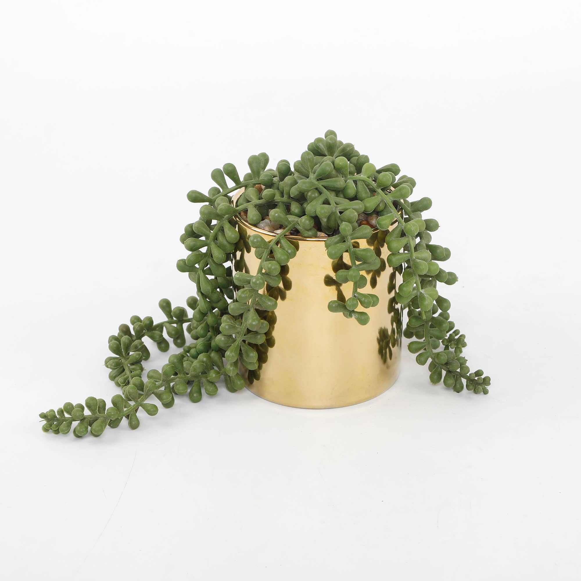 Flora Bunda Inc - Wholesale Succulent - Trailing Faux Succulent in Shiny Gold Pot0