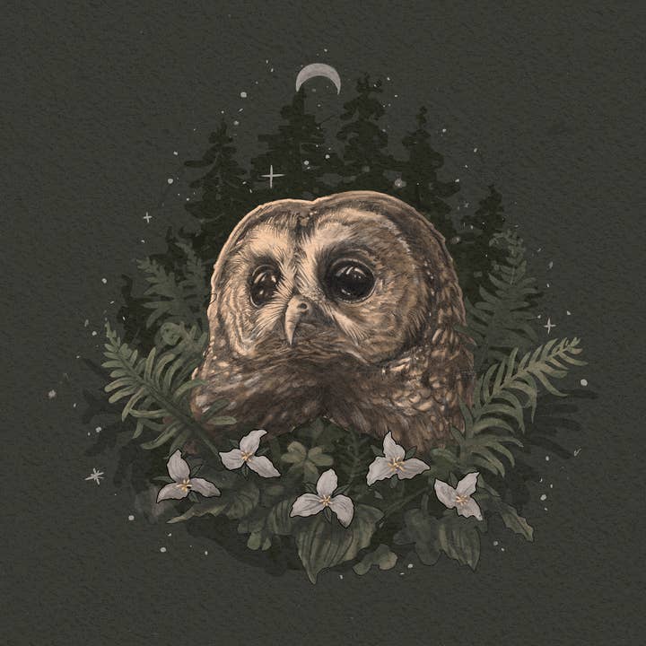 Väktare av gammelskogen för wholesale av Jenn Joslin Art & Nature