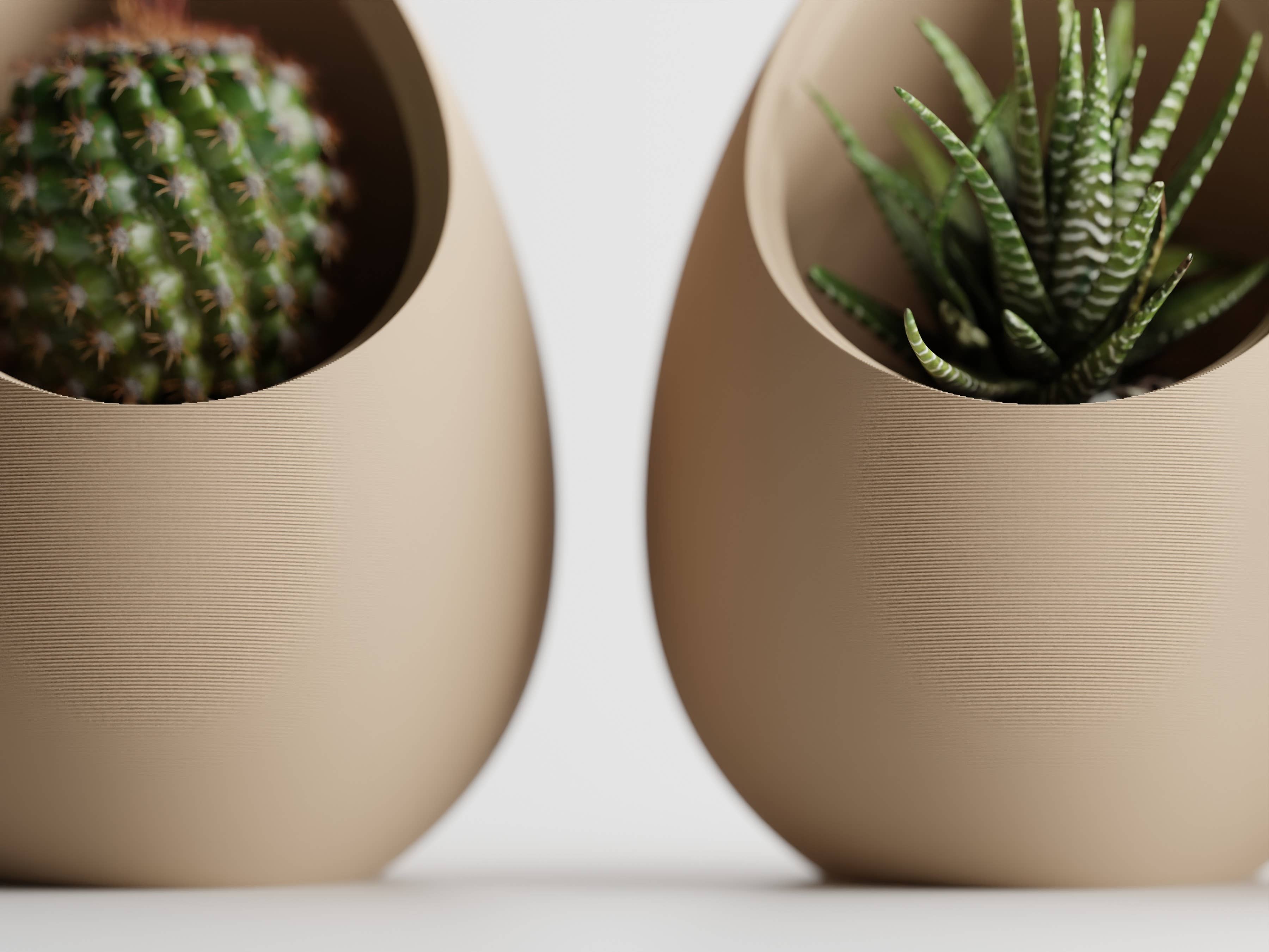 The Butler's Company - Wholesale Plant Pot - Succulent Plant Pot Egg Shape | Elegant Evergreen Container 10