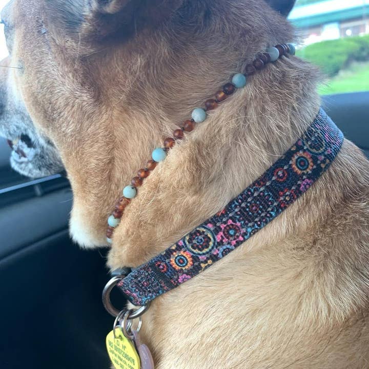 R.B. Amber Jewelry - Wholesale Pet Collar - Cat/Dog - Pet | Green Jade + Raw Cognac Amber Collar
