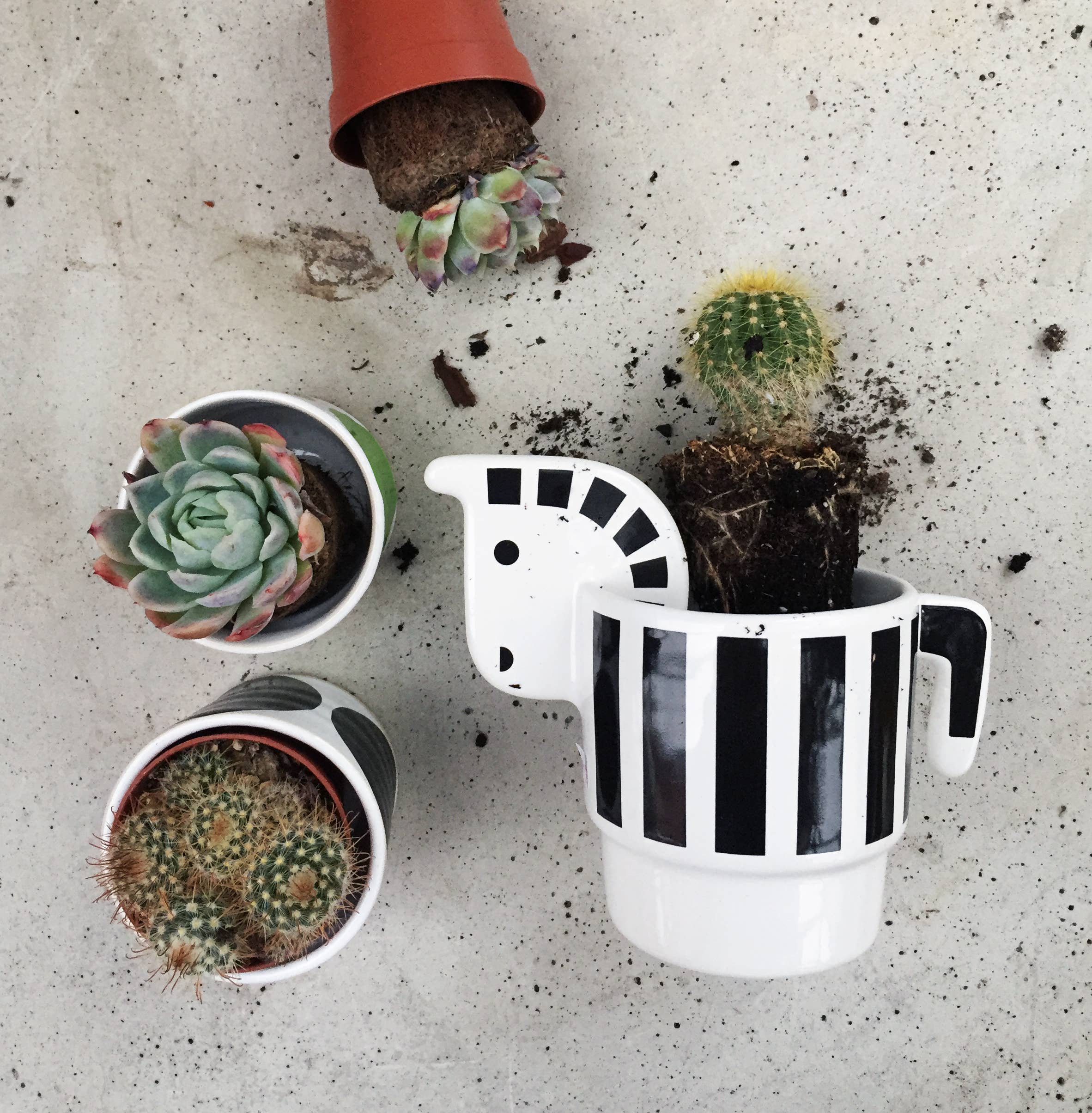 camillaengdahl - Wholesale Plantenpot - Zeb de Zebra Bloempot