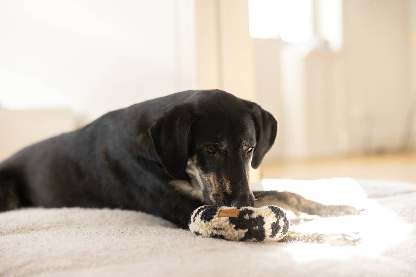 Lieblingspfote – Peluche - Cão por atacado – Crackle Donut Leo - feito à mão2