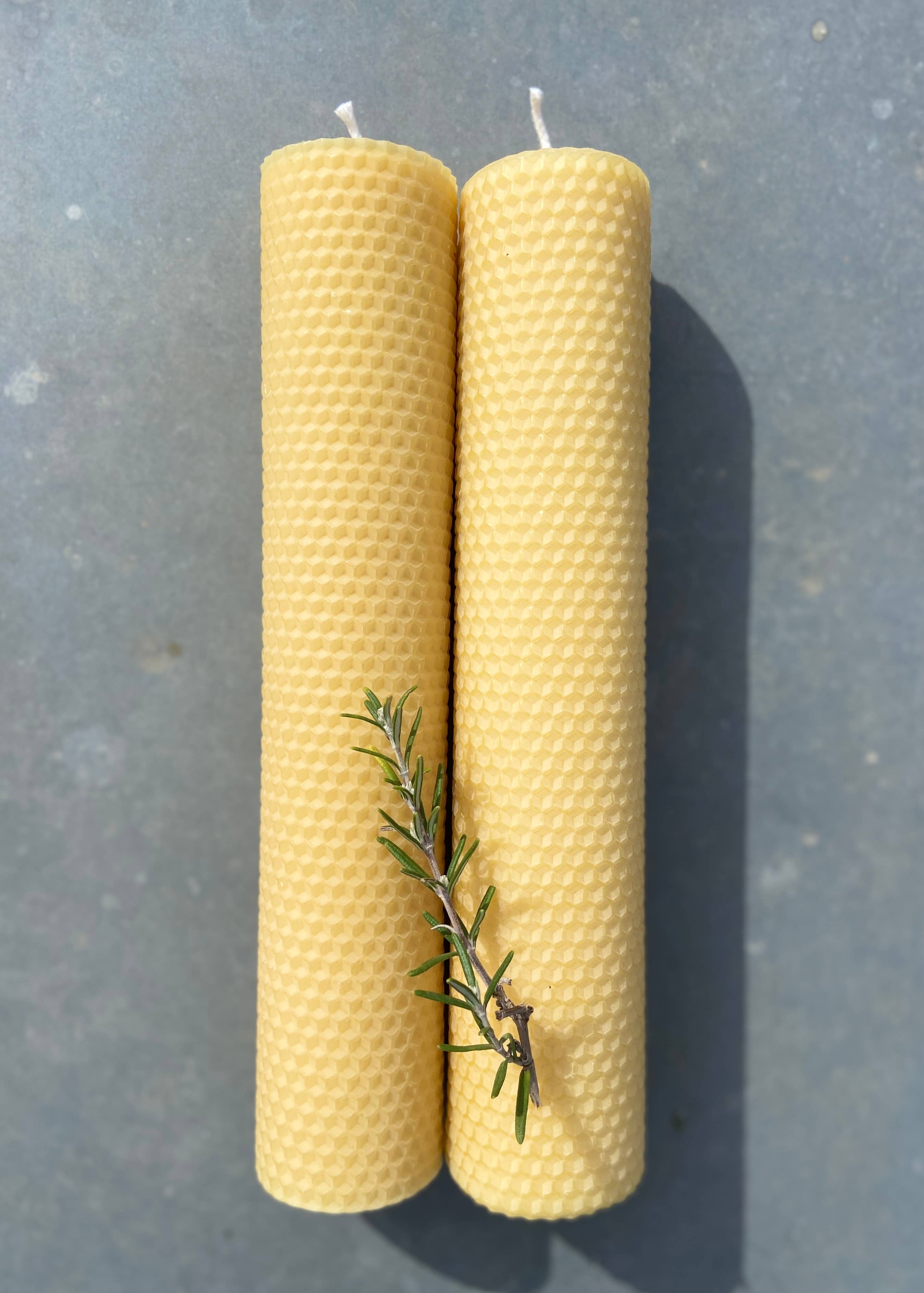 La Manufacture du Miel - Wholesale Novelty Candle - Noon "70H" - Beeswax candle (approximately 300g)3