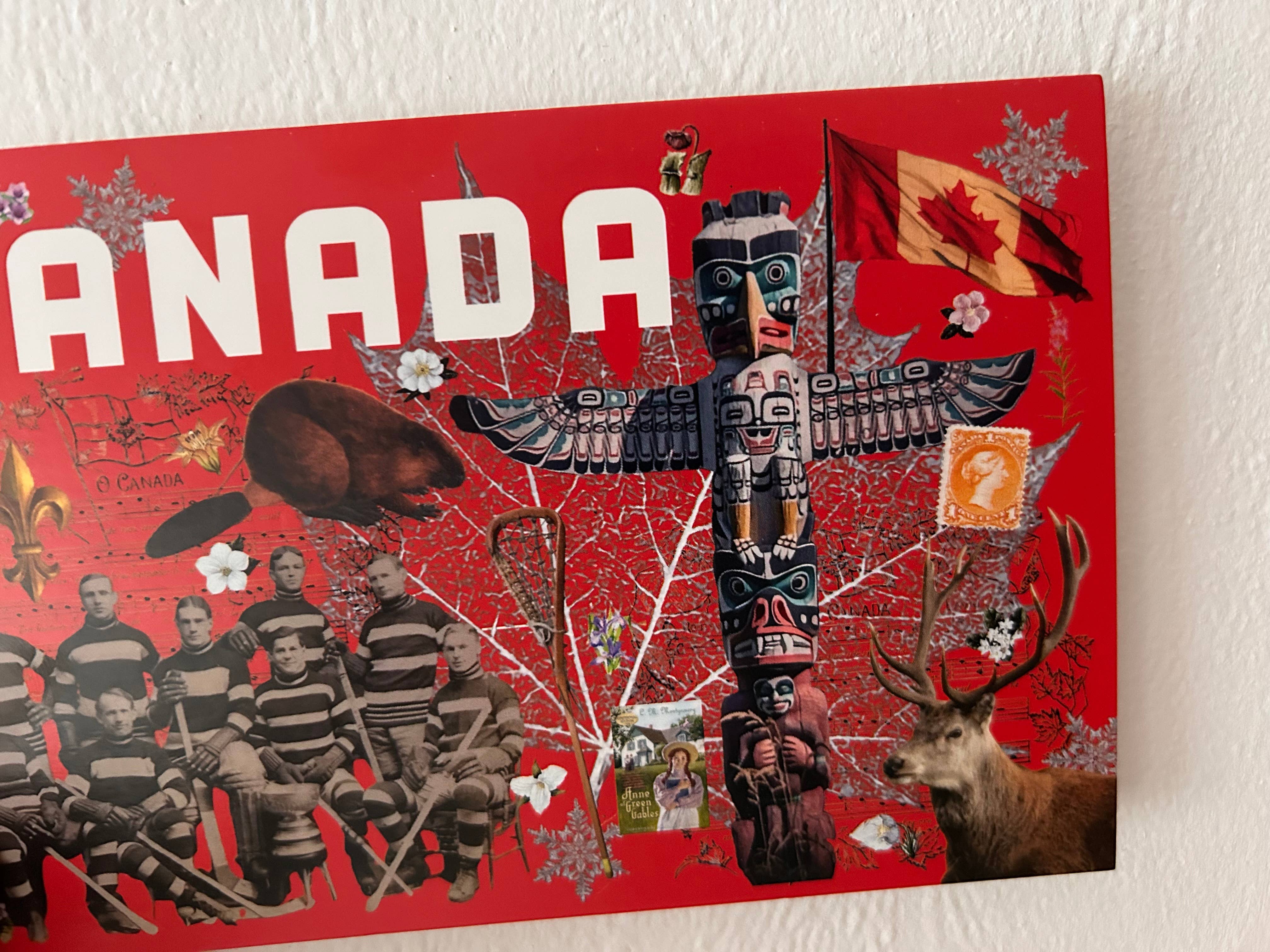 Pleasant Papercraft - Wholesale Postcard - True North Strong and Free Postcard5