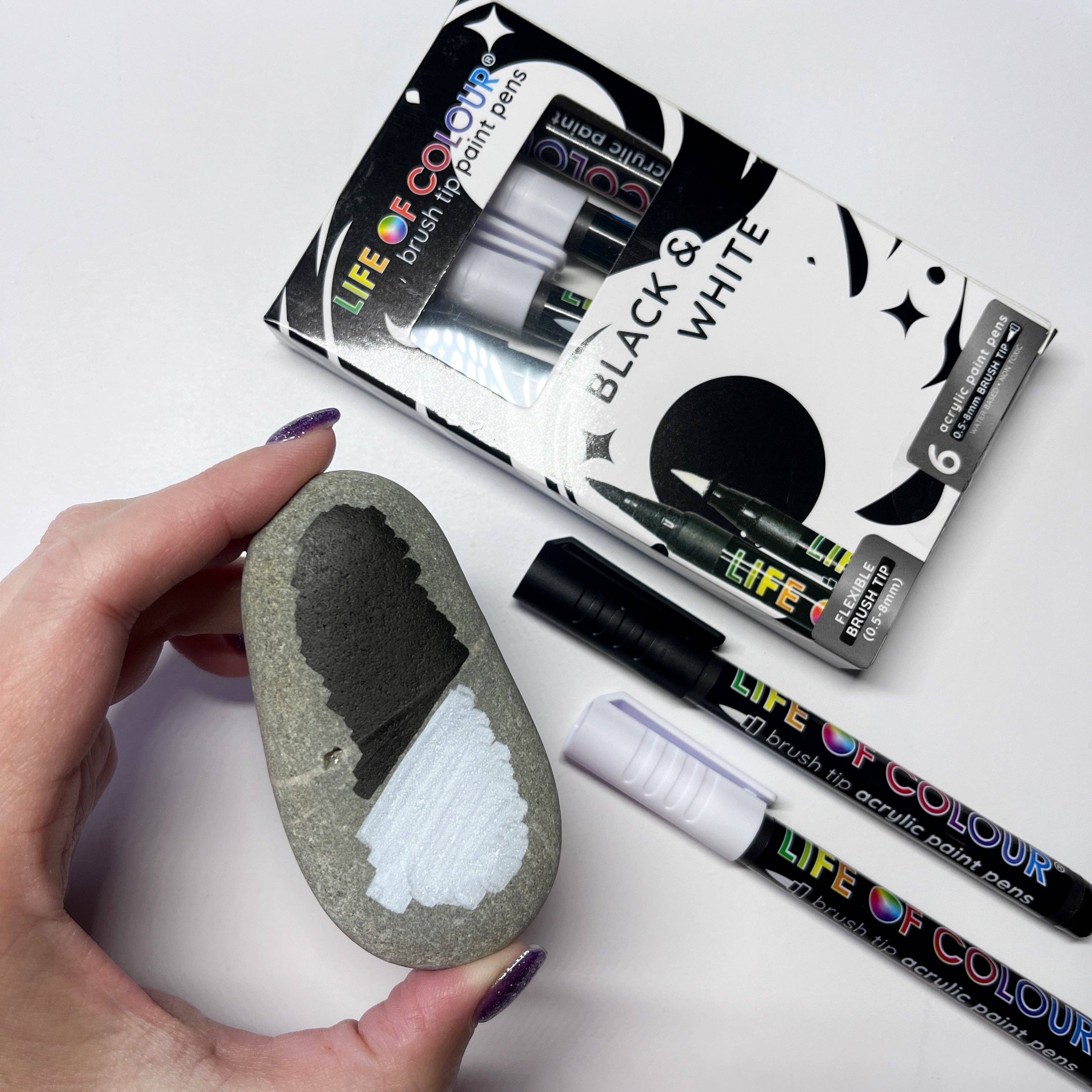 Life of Colour – Großhandel Marker – Schwarz-weiße Acryl-Brush-Pens – Set mit 6 Stiften4