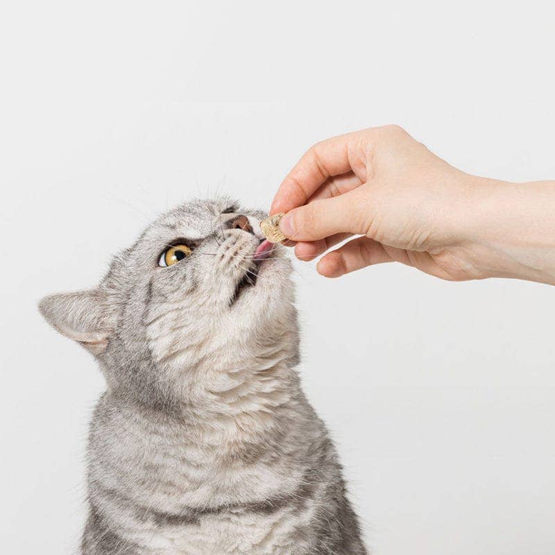 Leo's Paw - Vente Friandises – chat - Friandises de poulet lyophilisé pour chat2