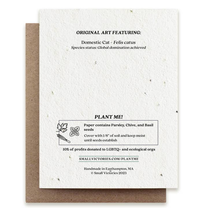 Small Victories - Wholesale Season's Greetings Card - Gingerbread Cat Plantable Herb Seed Card Holiday Winter