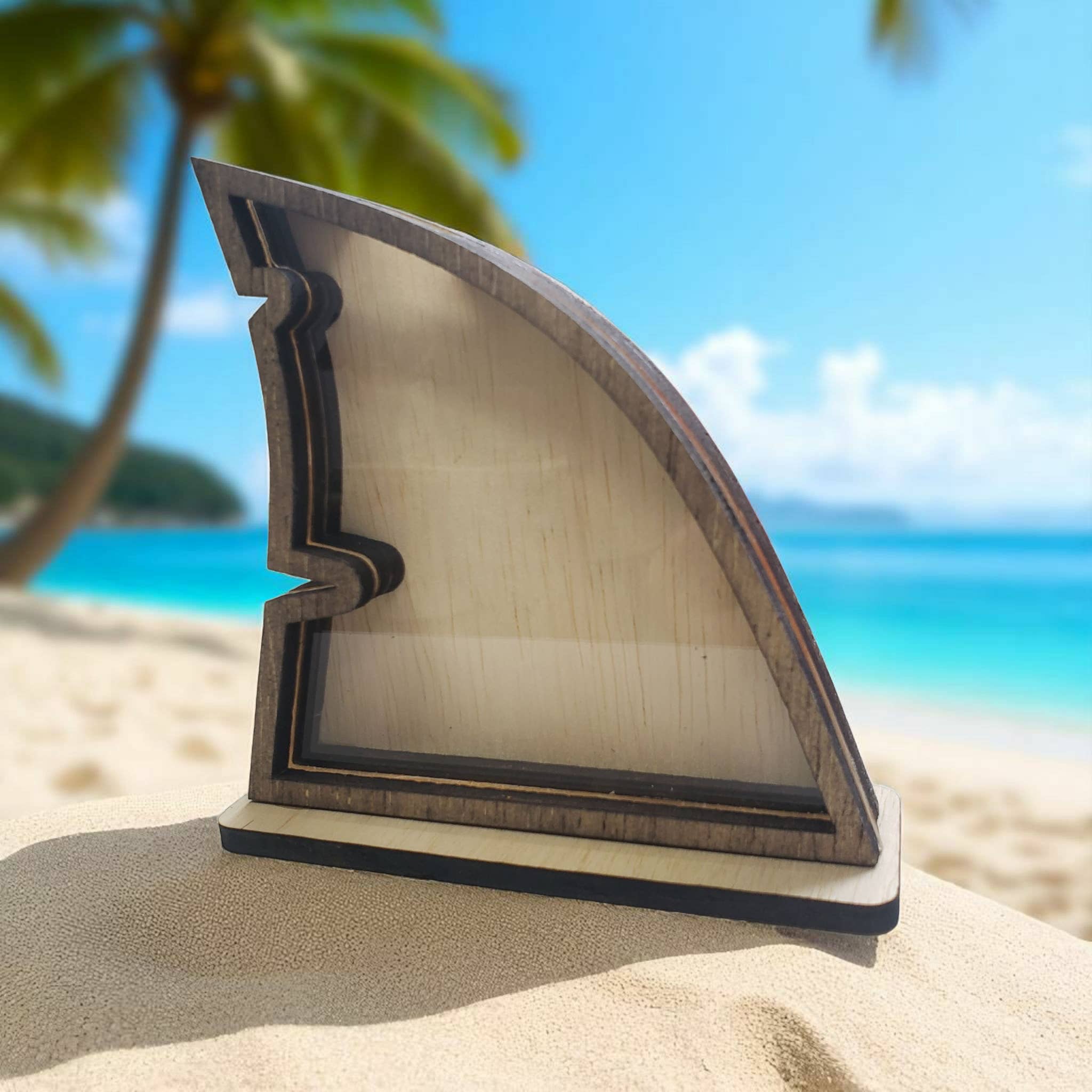 Sea Glass Displays - Wholesale Display Case - Shark Fin Sea Glass Shadowbox Display 4 Styles